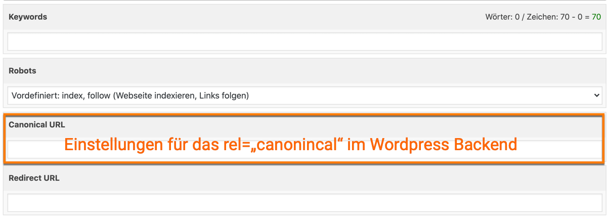 Das rel="canonical" im WordPress Backend