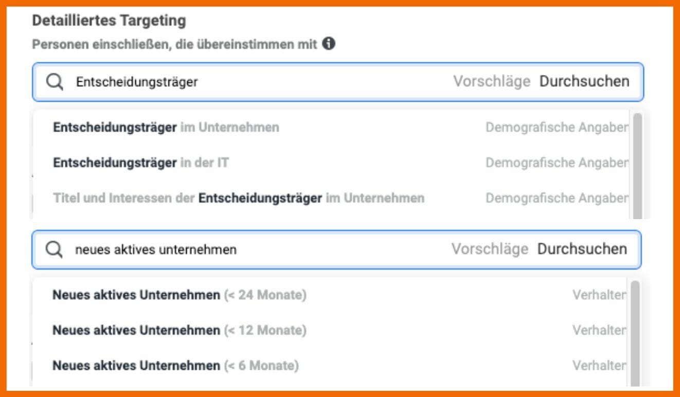 Hier siehst du die neuen B2B-Targeting-Optionen im Werbenanzeigenmanager