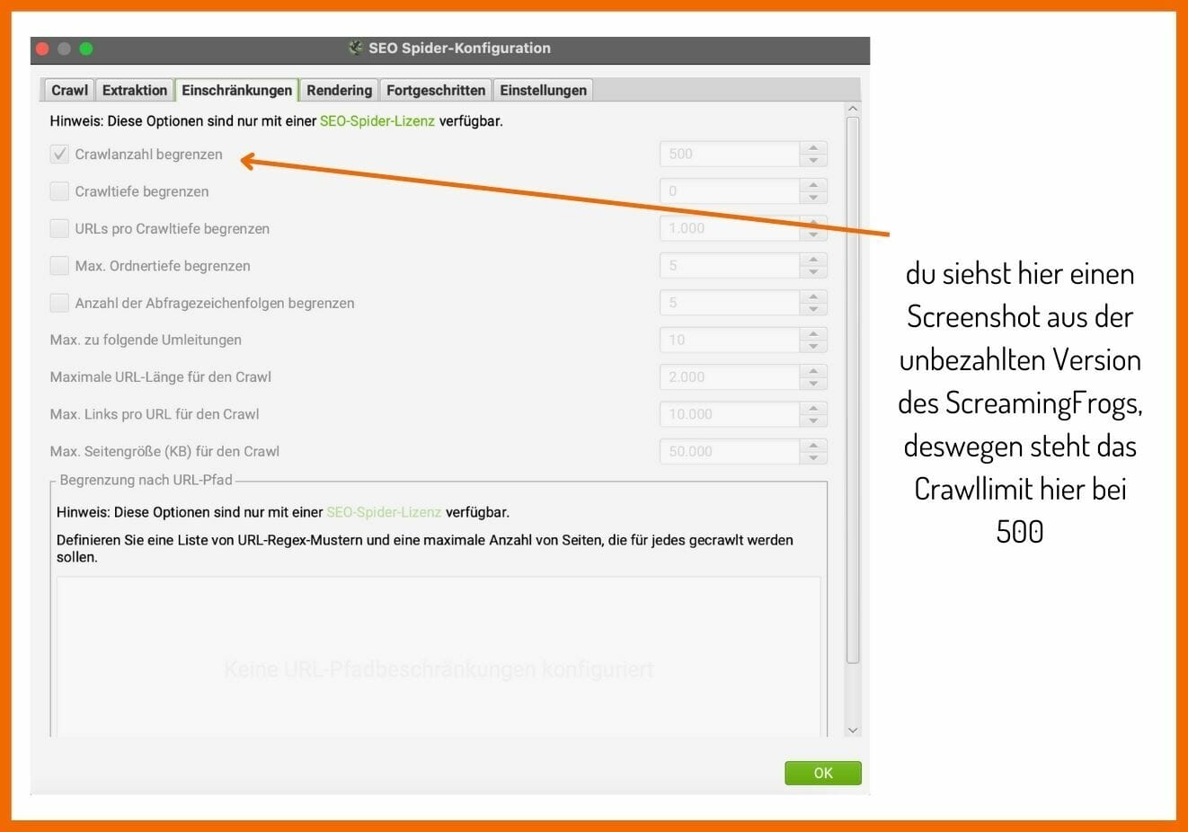 Du siehst hier, wo du im Tool ScreamingFrog ein Craw-Limit einstellen kannst.