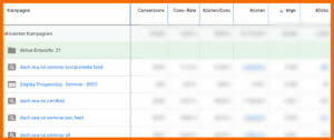 Kampagnenübersicht angepasst: Conversions, Conversion-Rate, Kosten/Conversion, Impressions, Klicks