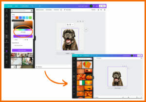 Canva: Fotos nach Farbe filtern