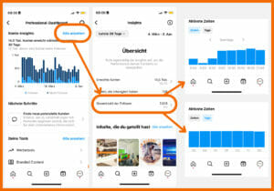 es ist ein Screenshot von Instagram zu sehen, der zeigt, wo man in den Einstellungen die Aktivste Zeit der Follower:innen findet