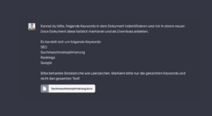 Code-Interpreter Prompt für SEO - Keywords markieren