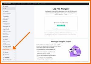 Log File Analyzer in Semrush