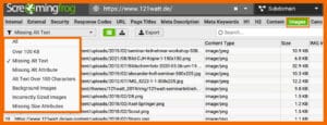 ScreamingFrog - Missing Alt Tags