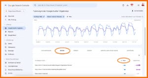 Organische Klicks in der Google Search Console: Leistung > Google Suche-Ergebnisse 