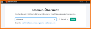 Semrush Domain-Übersicht