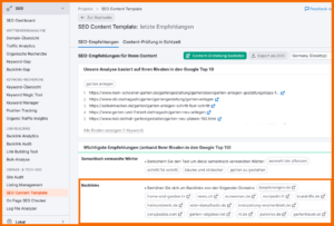 Semrush - Backlink Optionen