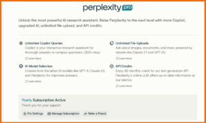 Perplexity Pro