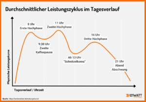 Hier siehst du den durchschnittlichen Leistungszyklus im Tagesverlauf. Erste Hochphase um 8 Uhr, Zweite Kaffeepause um 9:30, Zweite Hochphase um 11 Uhr, Ab 13 Uhr Schnitzelkoma, dritte Hochphase um 16 Uhr und ab 21 Uhr Abend Abschwung.